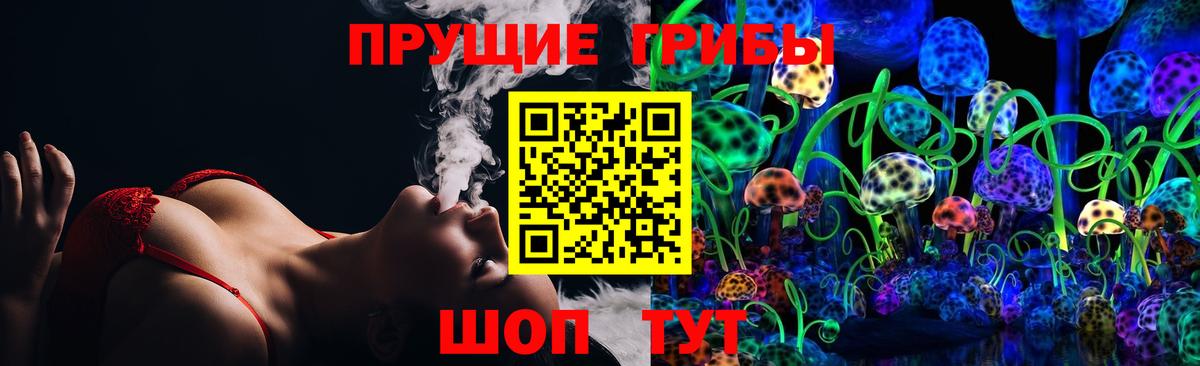 Солнечногорск  Галлюциногенные грибы Cubensis  Вход с VPN 